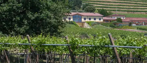 Monte Zovo