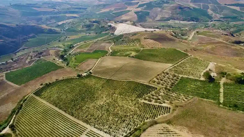 Tenute Orestiadi