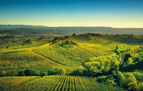 Bollicine - Toscana - Vinai del Borgo