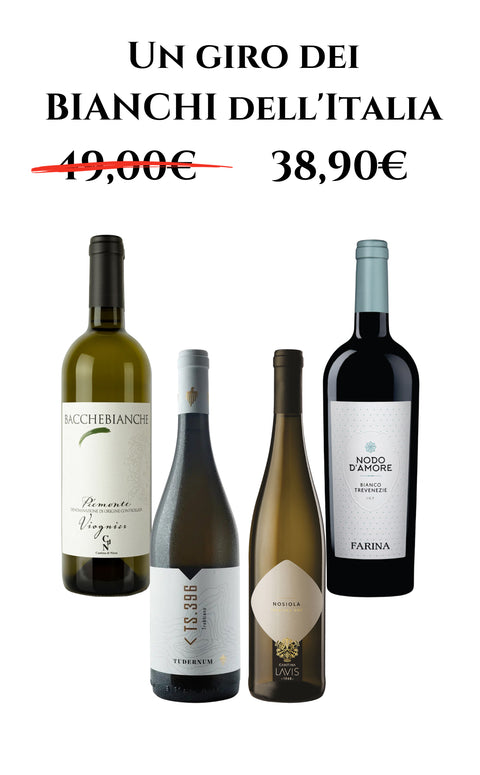 Tasting Box | A Tour of Italy's Whites