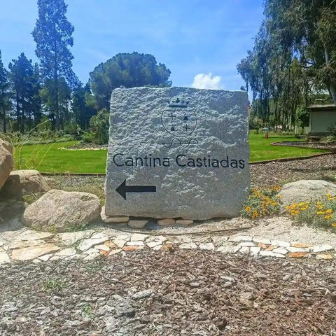 Vermentino di Sardegna Praidis DOC 2023 - Cantina Castiadas