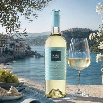 Today's gift bottle: Cirò Bianco "Mare Chiaro" di Ippolito 1845