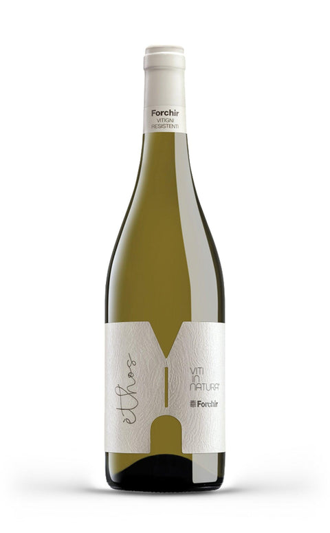 Tasting Box | Discover Friuli with Forchir