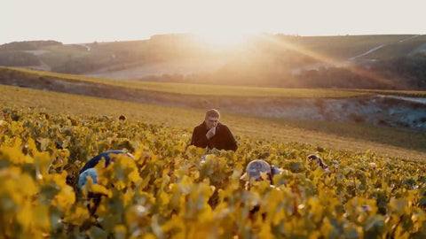 Champagne Cuvée des Gentlemen - Champagne De Lozey