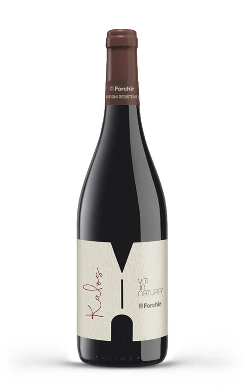 Rosso Kalòs IGT 2020 - Forchir - Vinai del Borgo