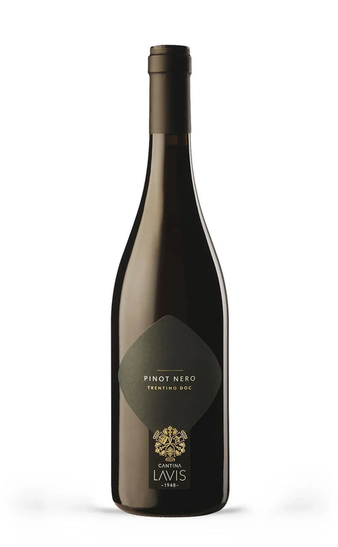 Pinot Nero Trentino DOC 2021 (375ml) - Lavis - Vinai del Borgo
