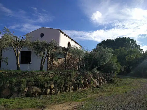 Bresca Dorada Liquori Artigianali della Sardegna