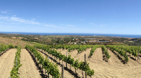 Regioni - Calabria - Vinai del Borgo