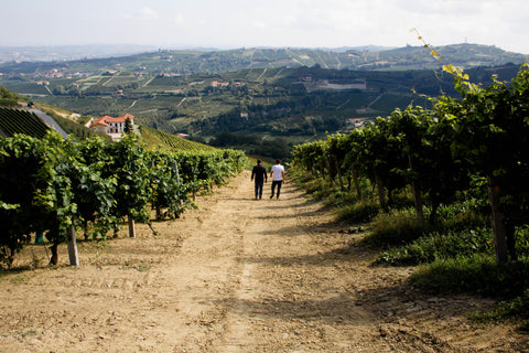 Bollicine - Piemonte - Vinai del Borgo