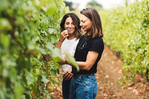 Le Vigne di Silvia