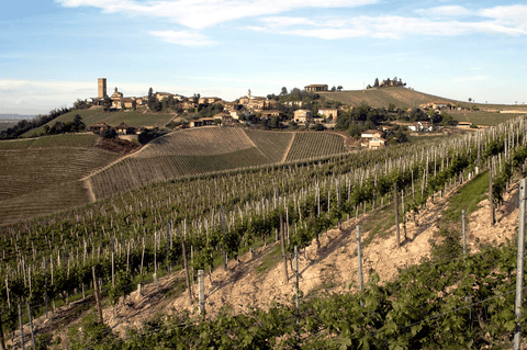 Rossi - Barbaresco - Vinai del Borgo