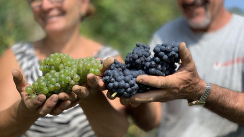 Bollicine - Alta Langa - Vinai del Borgo