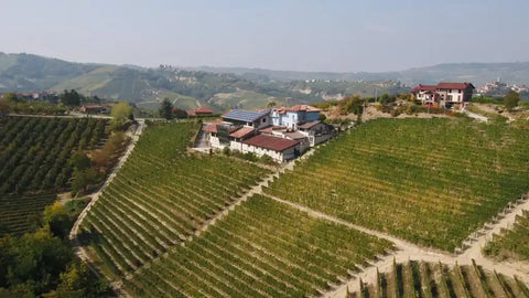 I Vini Cantina Ettore Germano su Vinai del Borgo