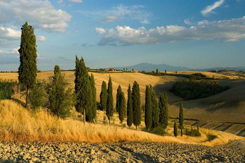 Rossi - Chianti - Vinai del Borgo