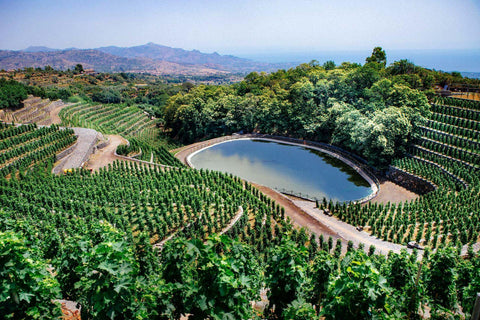 Rosati - Etna - Vinai del Borgo