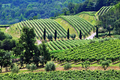 Rosati - Franciacorta - Vinai del Borgo