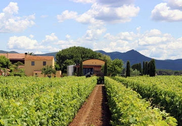 Cantina Terre del Marchesato