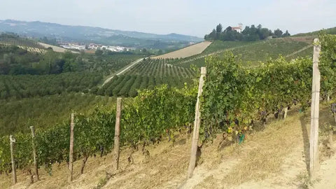 Rabaglio
