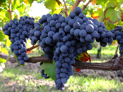 Rossi - Nerello Mascalese - Vinai del Borgo