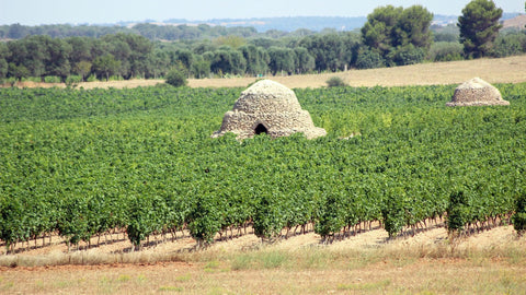 Rossi - Puglia - Vinai del Borgo