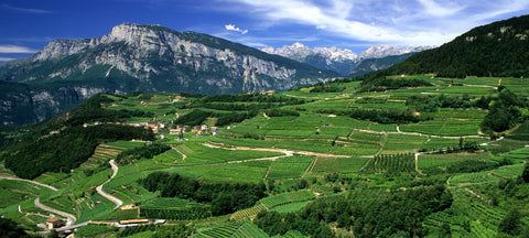 Regioni - Trentino Alto Adige