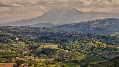 Regioni - Campania - Vinai del Borgo