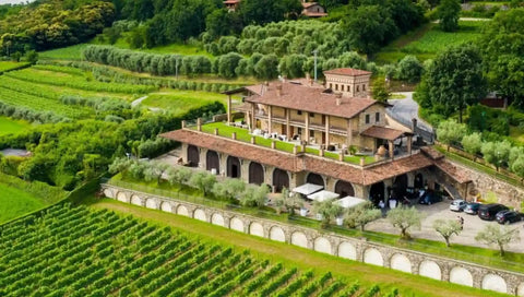 Cantina I Barisei Franciacorta: Vini Eleganti dalla Terra