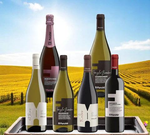 Tasting Box | Discover Friuli with Forchir
