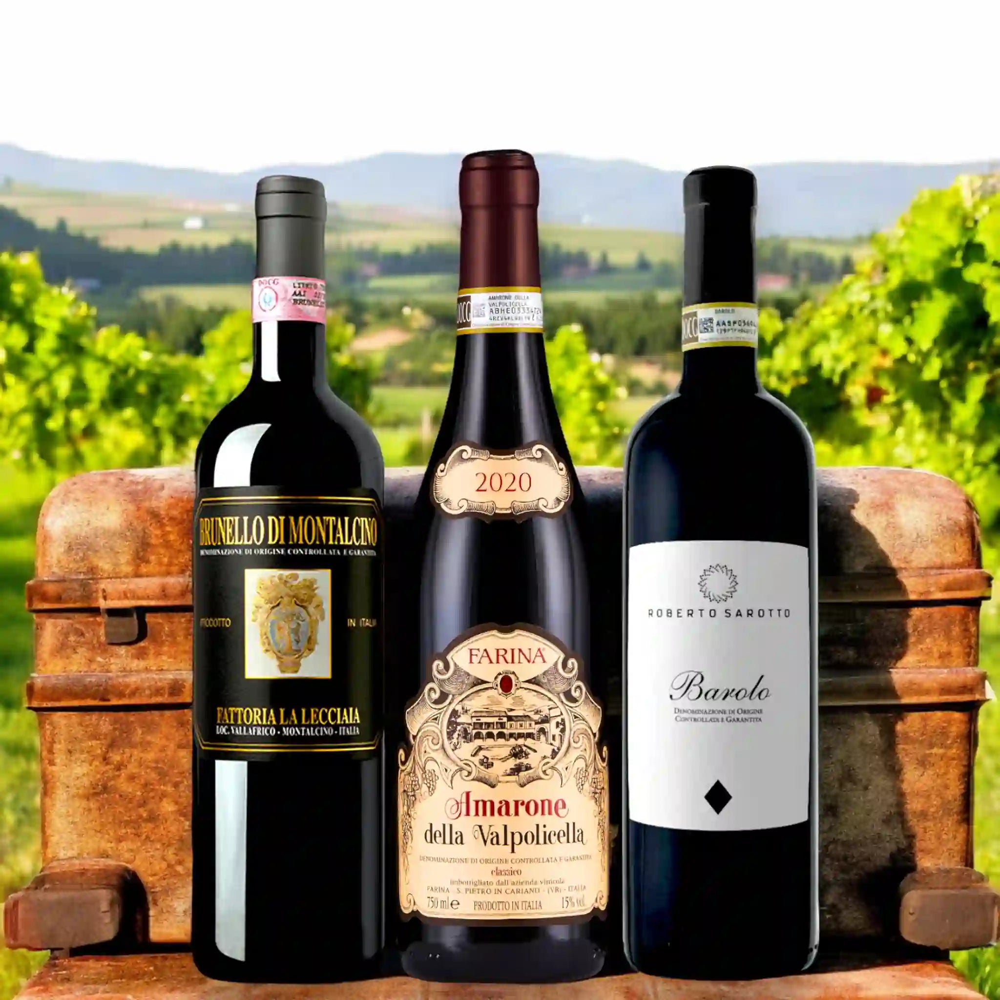 Exclusive Tasting Box: Italy’s Finest – Barolo, Amarone, and Brunello - Vinai del Borgo