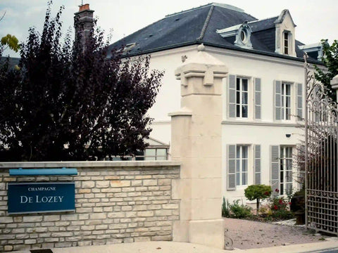 Champagne Rosé de Saignée Magnum - Champagne De Lozey