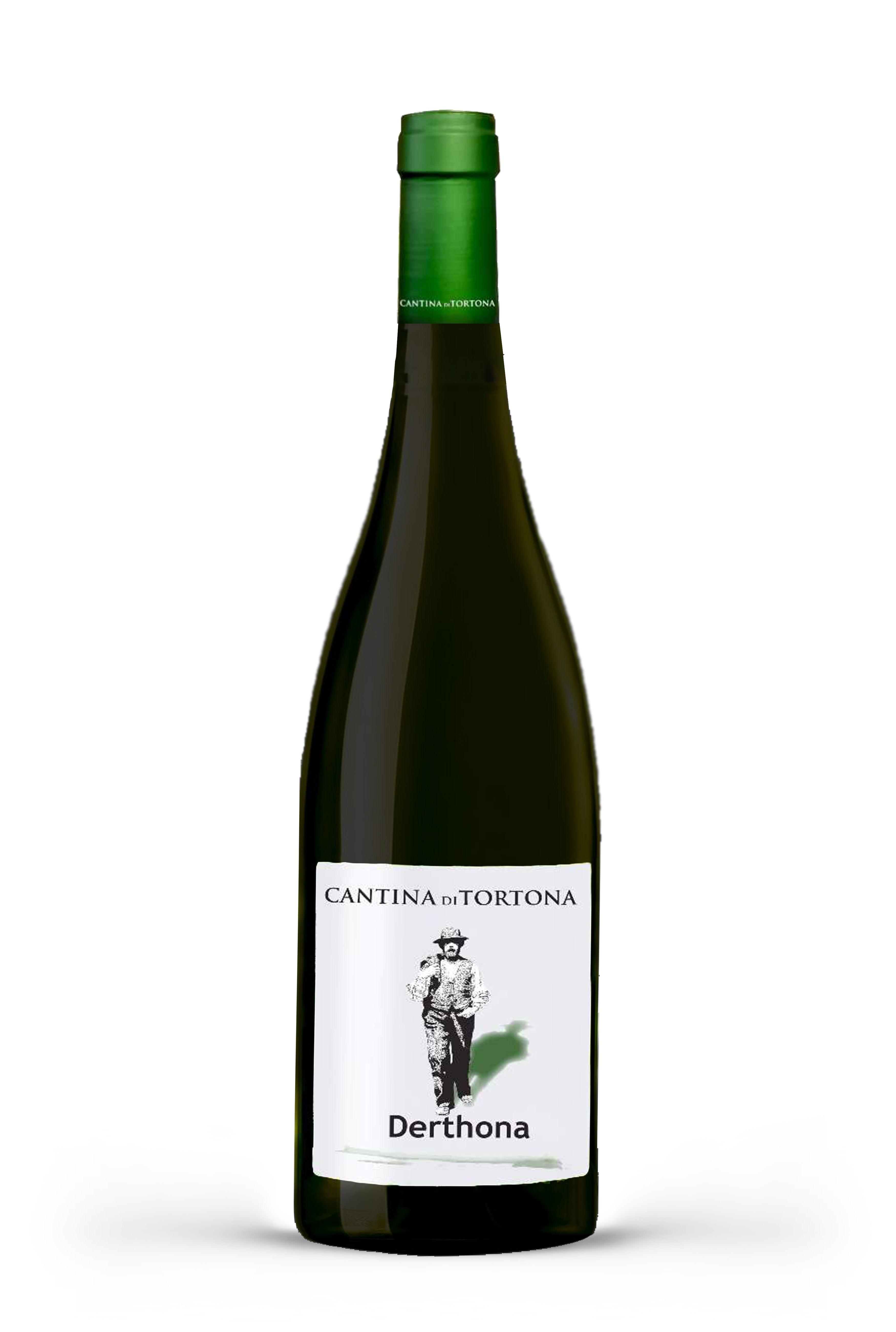 Timorasso Derthona Colli Tortonesi DOC 2020 Magnum - Cantina di Tortona - Vinai del Borgo