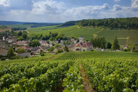 Champagne Rosé de Saignée - Champagne De Lozey