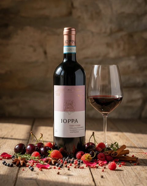 Vespolina Colline Novaresi Coda Rossa DOC - Ioppa