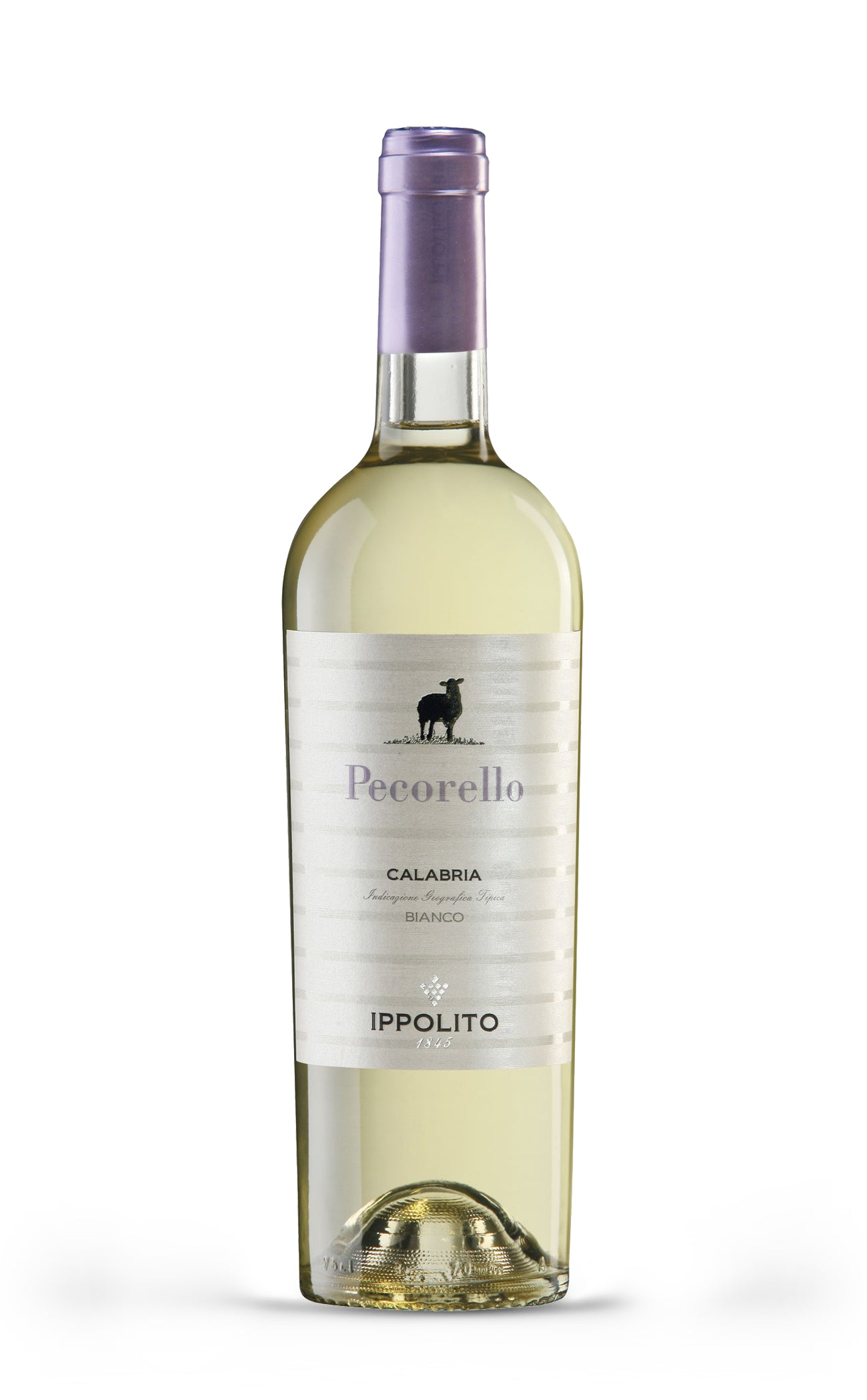 Pecorello Bianco IGT 2023 - Ippolito - Vinai del Borgo