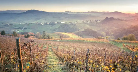 Tasting Box A Tour of the Whites of Italy