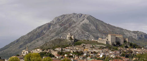 Greco IGP 2021 - Cantina del Taburno