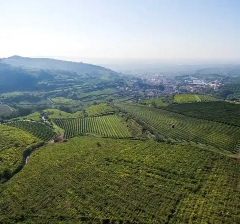 Lessini Durello Brut Monopolio DOC - Cantina di Gambellara