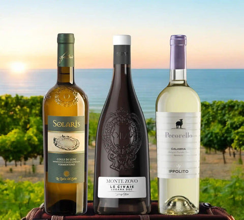 White Wine Gems Tasting: From Garda and Portofino to Tropea Tour - Vinai del Borgo