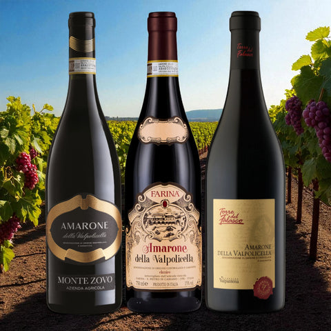 Box 3 Espressioni di Amarone