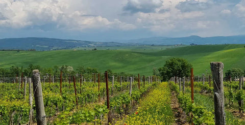 Tasting Box | A Tour of Italy's Finest Reds