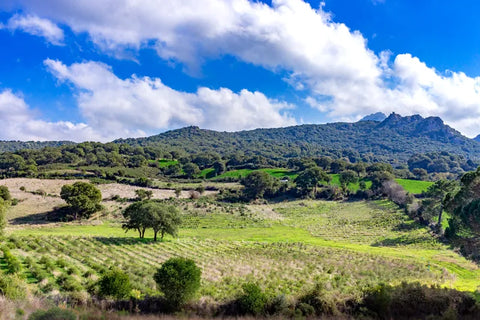 Gallura Panoramic View