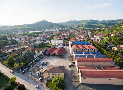 Pinot Nero Monopolio Trevenezie IGT 2019 - Cantina di Gambellara