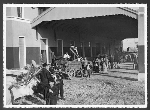 Timorasso Riserva Colli Tortonesi DOC Aemilia Scauri - Cantina di Tortona