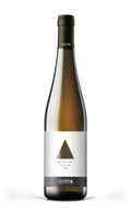 Riesling Trentino DOC 2020 - Cembra Vinai del Borgo